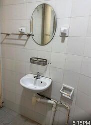 Bullion Park (D26), Condominium #480098131